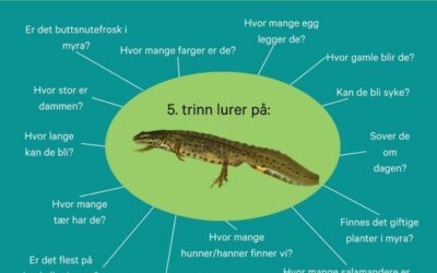 Bli kjent med Våtmarksløftet!