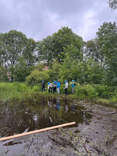 Elever på insektsjakt i dammen ved siden av skolen