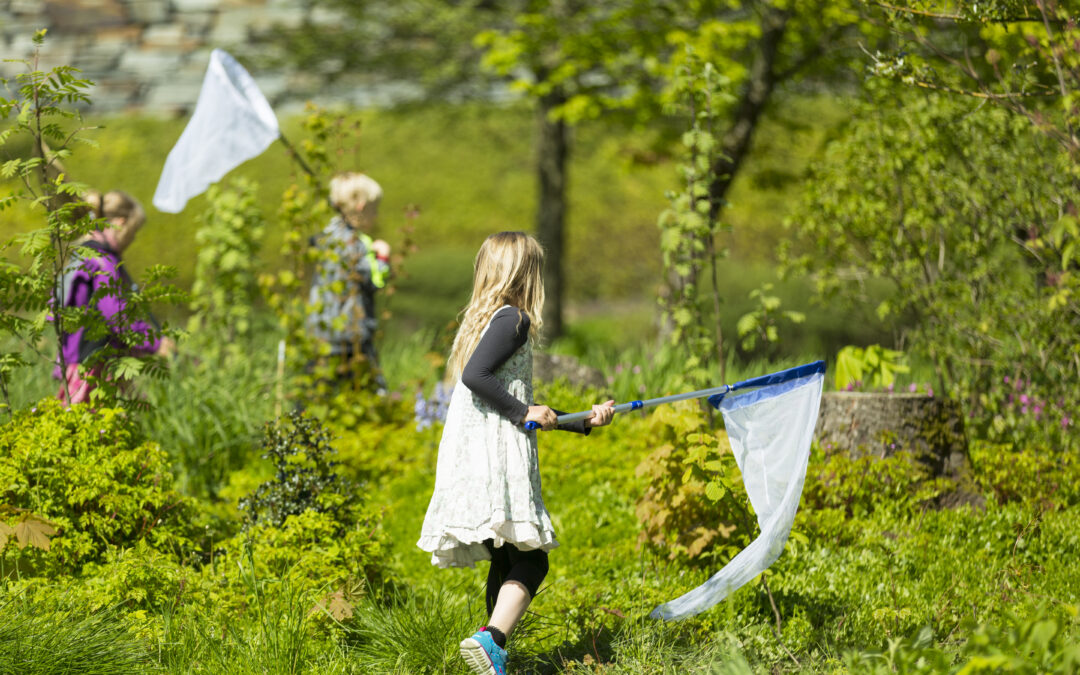 Prøv deg som folkeforsker i sommer!