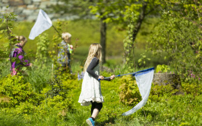 Prøv deg som folkeforsker i sommer!