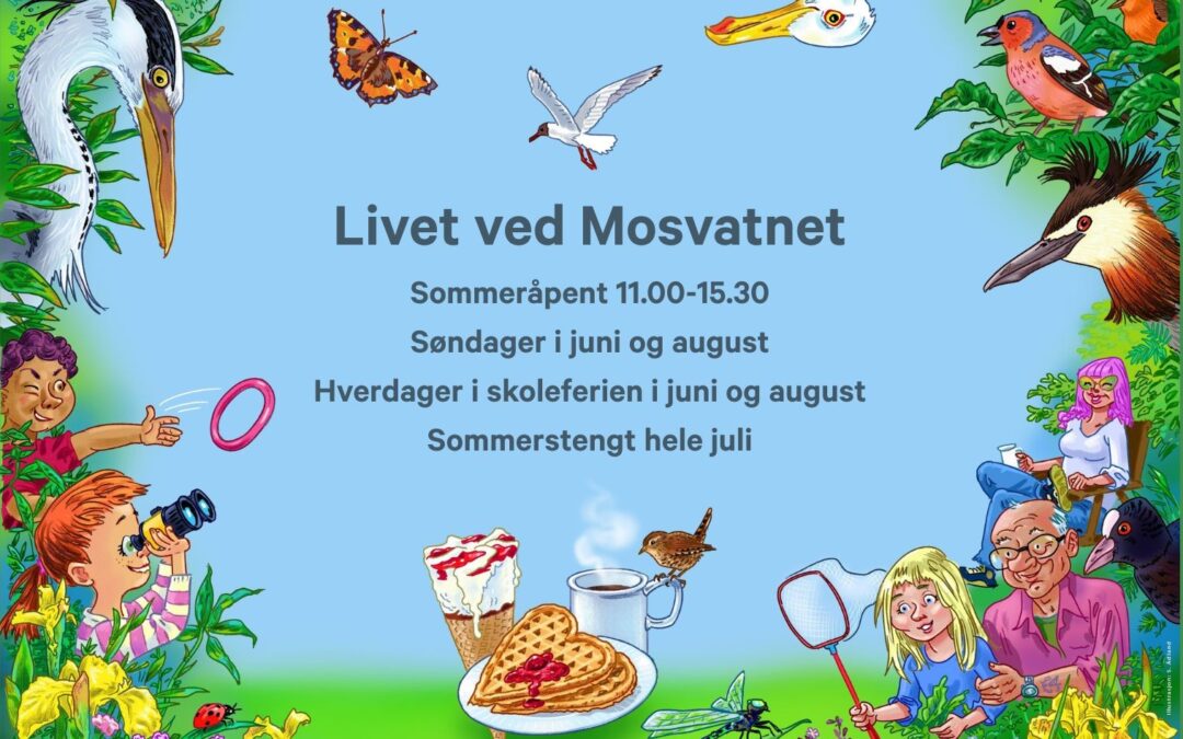 Sommertilbud på Mostun: Livet ved Mosvatnet