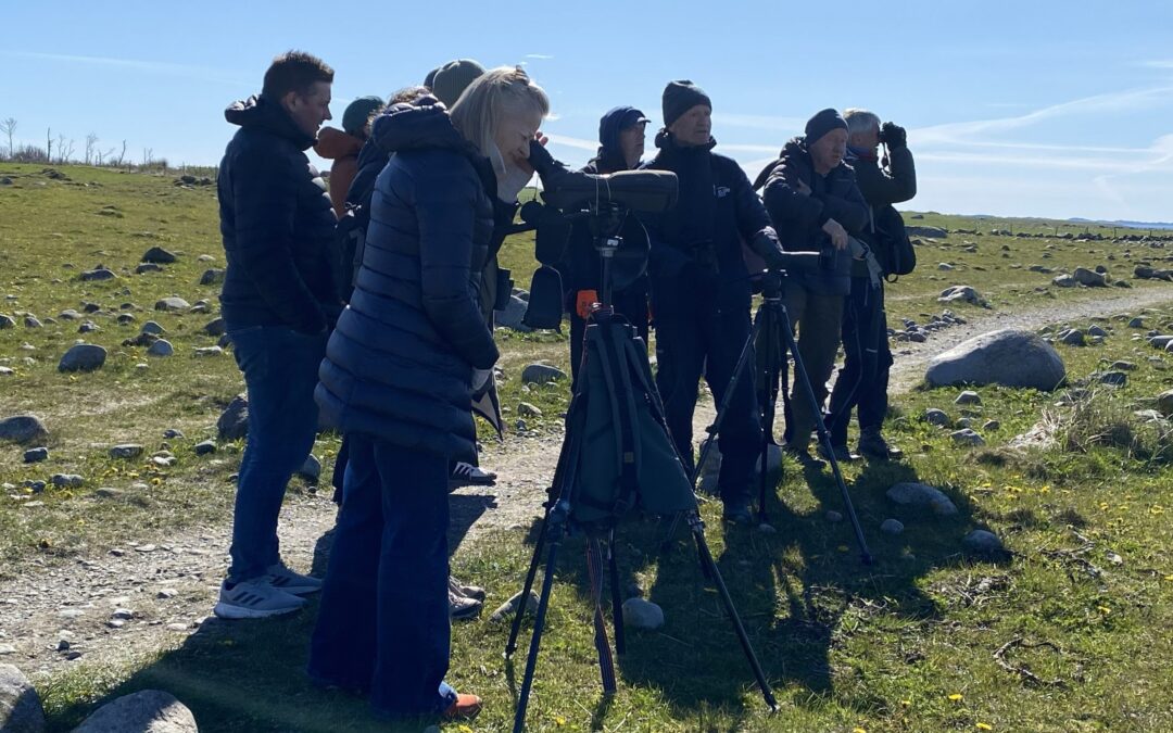 Arrangementsoversikt høst 2026