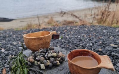 Arrangementsoversikt våren 2026