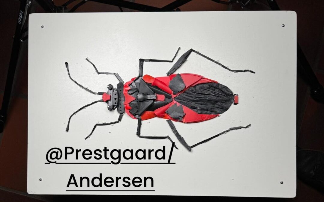 Verken Fugl eller Fisk på Orre