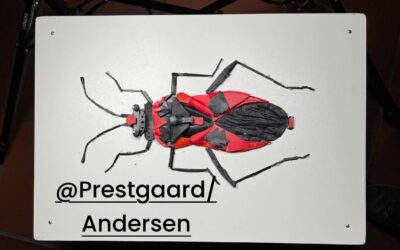 Verken Fugl eller Fisk på Orre