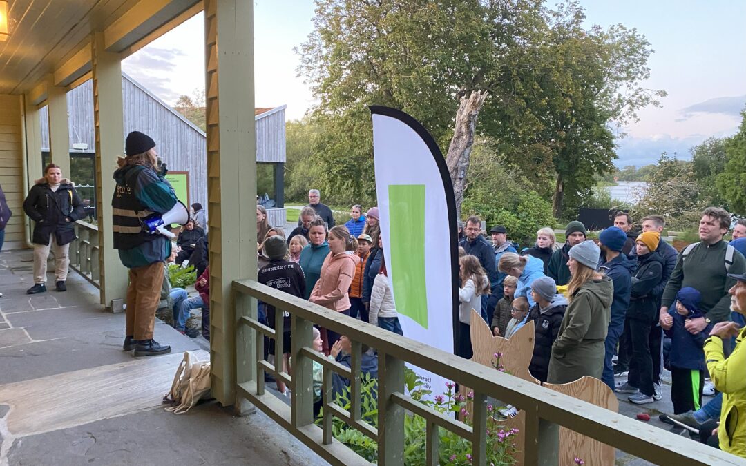 Vellykket flaggermussafari på Mostun