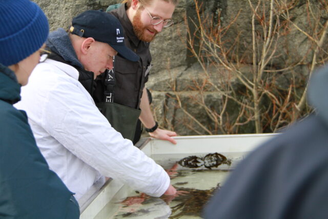 Livet i fjæra Foto: Øyvind Fjørtoft Iversen