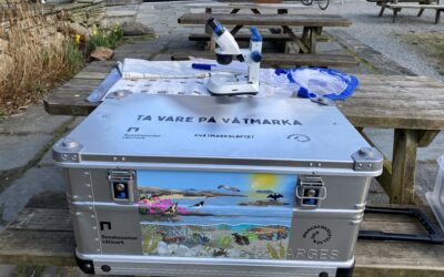 Lån forskerkasse på Mostun