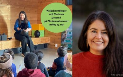 Fortellerforestilling om kråkefugler på Mostun