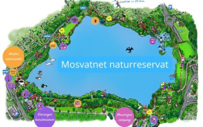 Kongen i statsråd har i dag vernet Mosvatnet som naturreservat