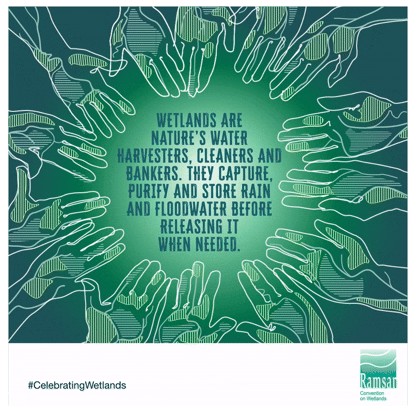 Verdens våtmarksdag markeres ved alle våre 3 delsenter